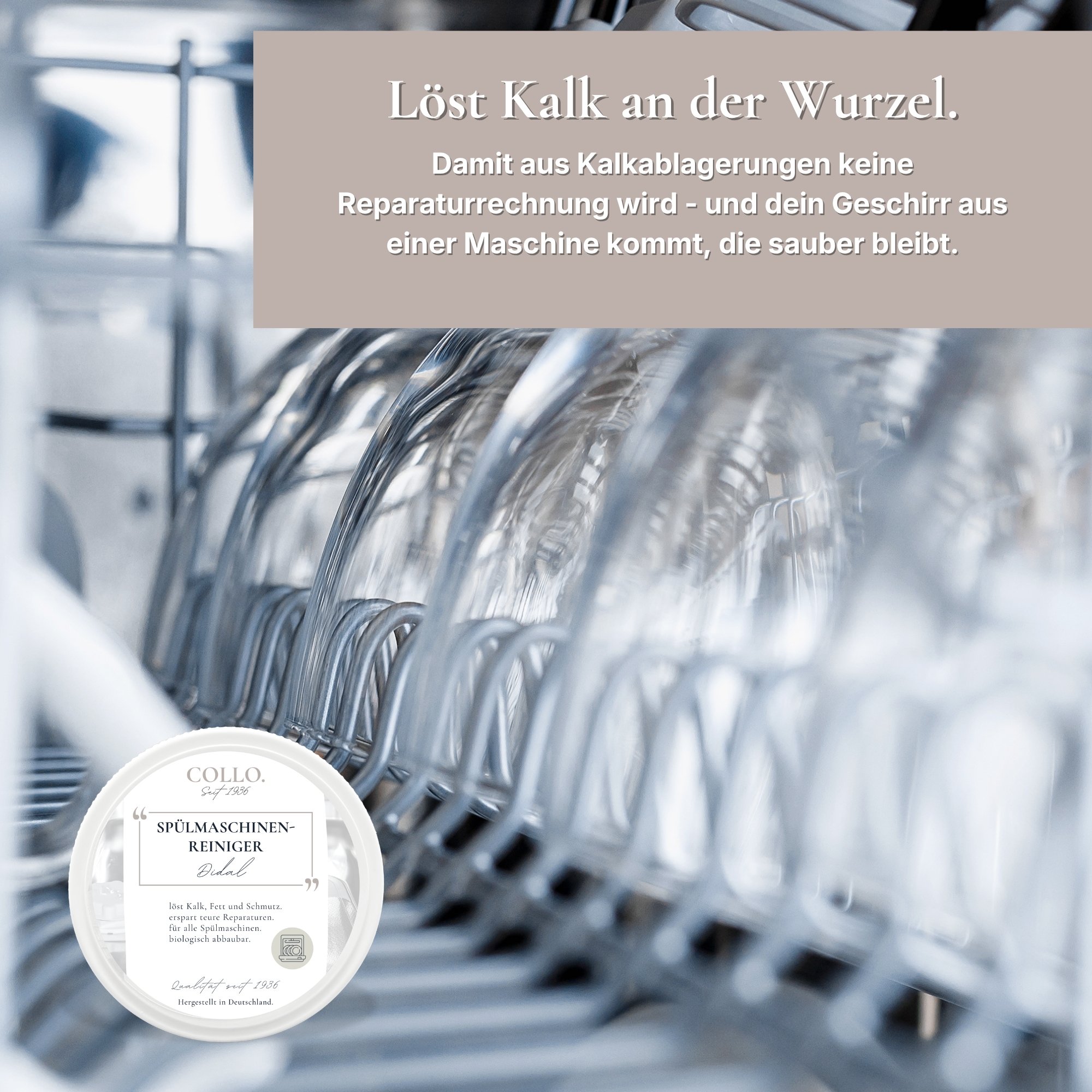 Didal - Spülmaschinenreiniger