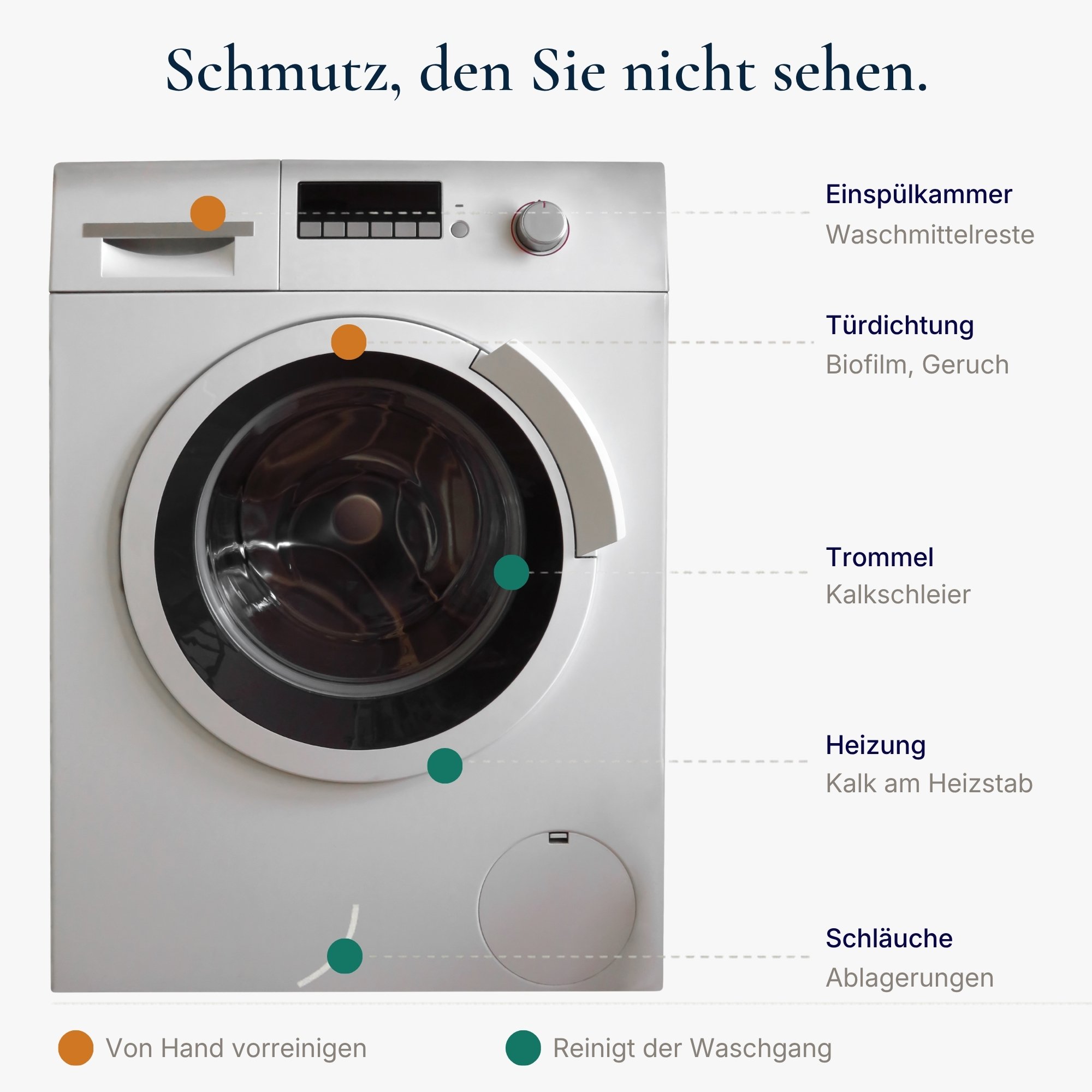 WaMa - Hygienischer Waschmaschinenreiniger gegen Kalk, Schmutz, Gerüche